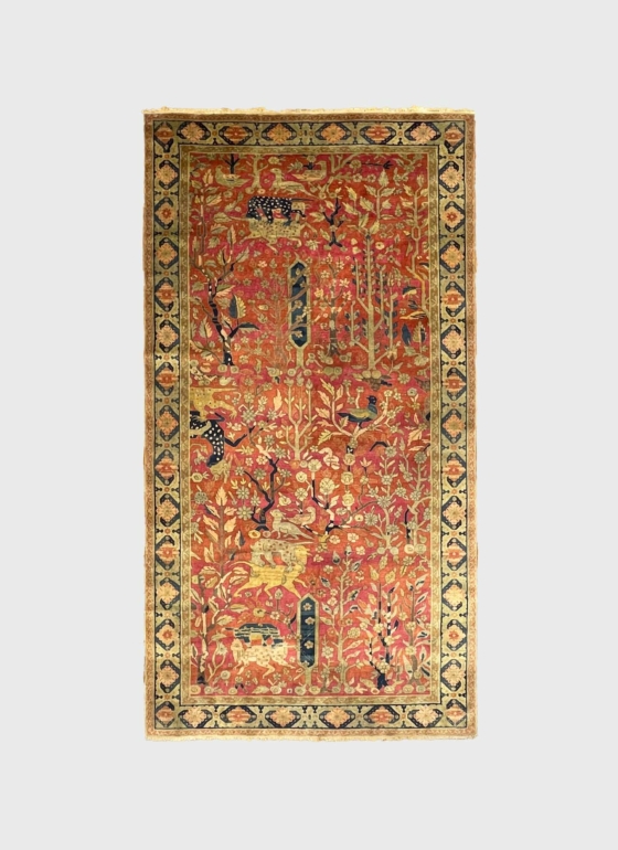 Agra 3