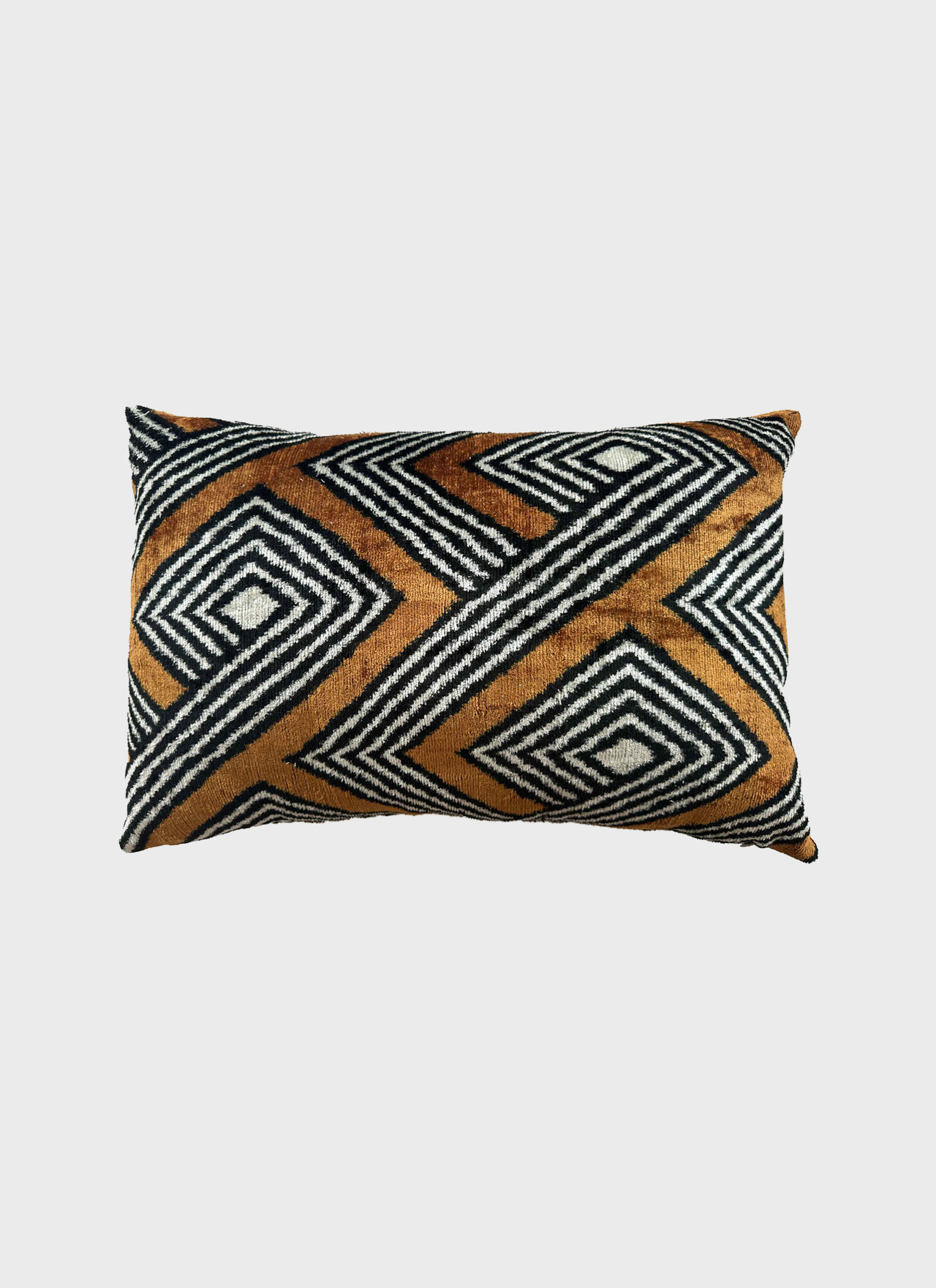Ikat Pillow 7