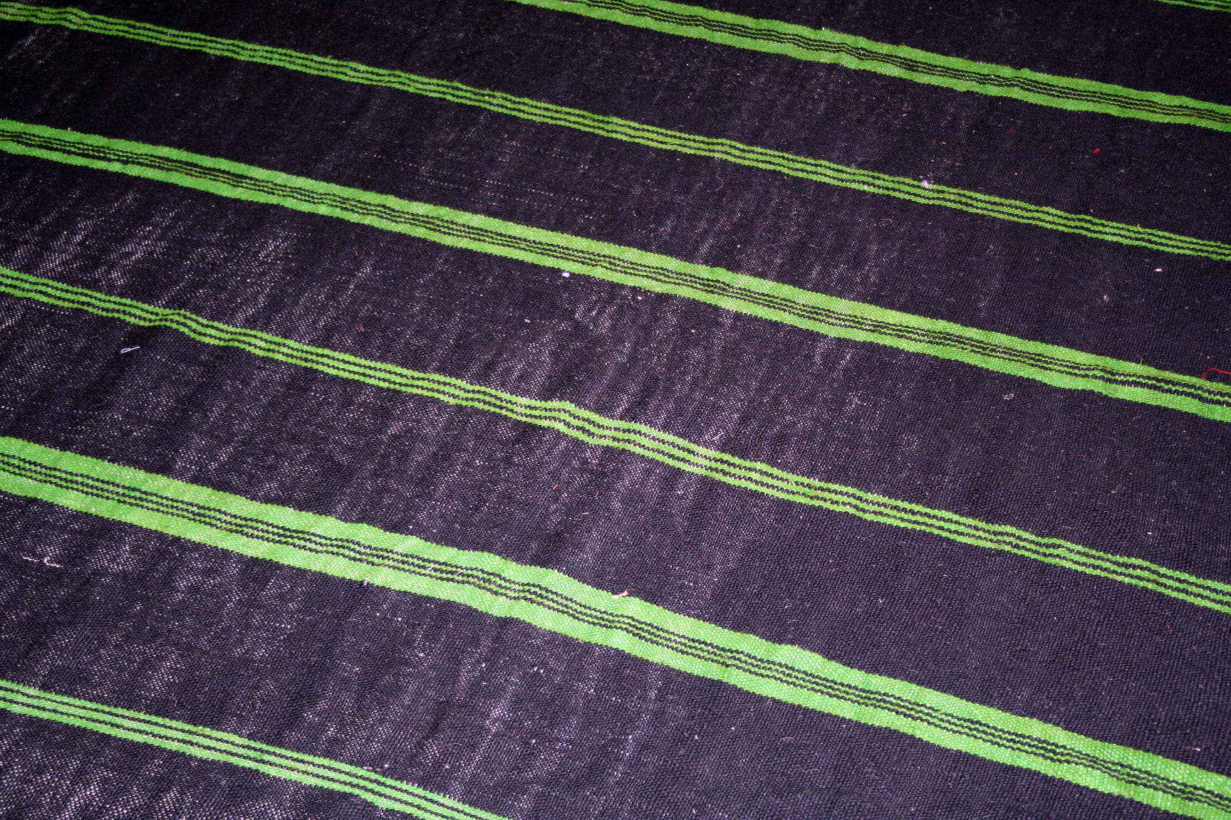 Black Stripes