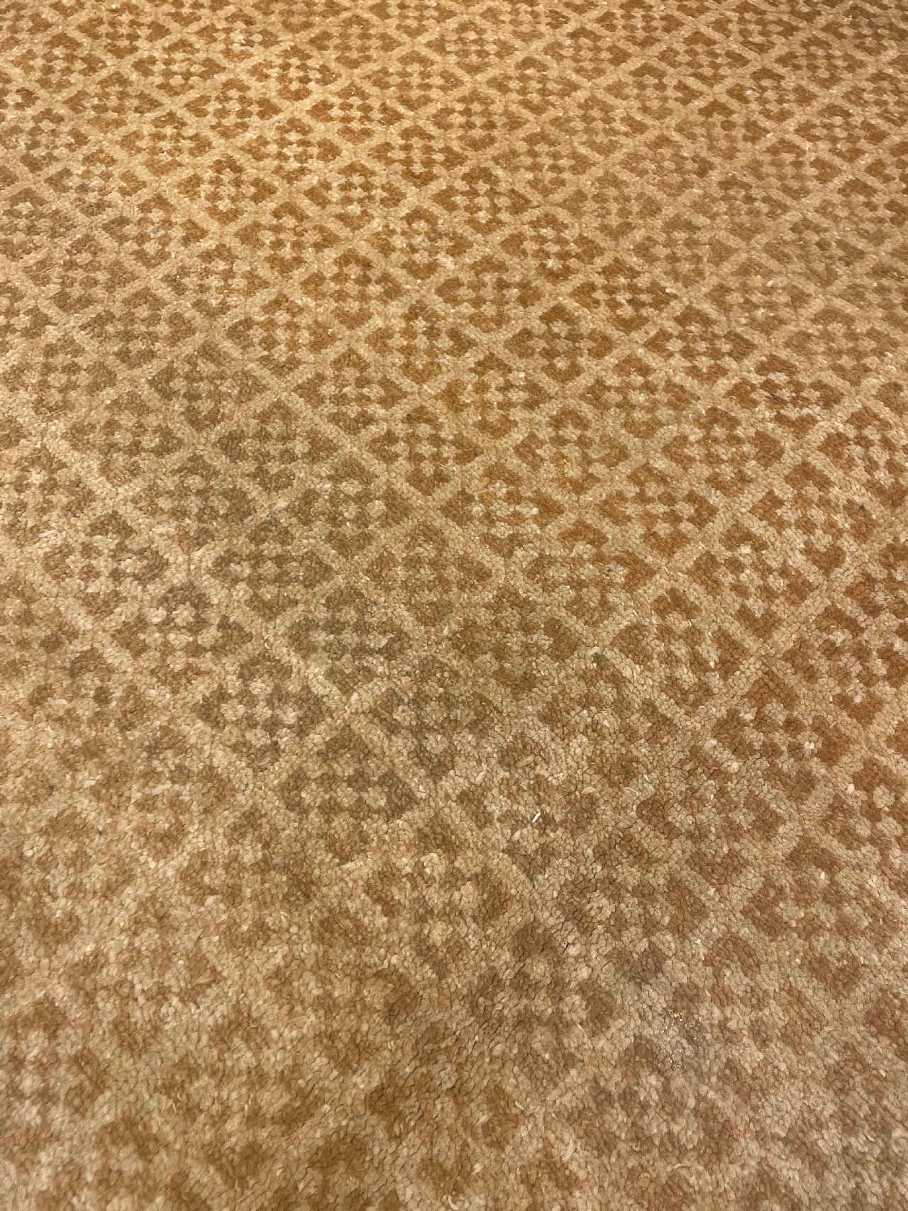 Modern Beige