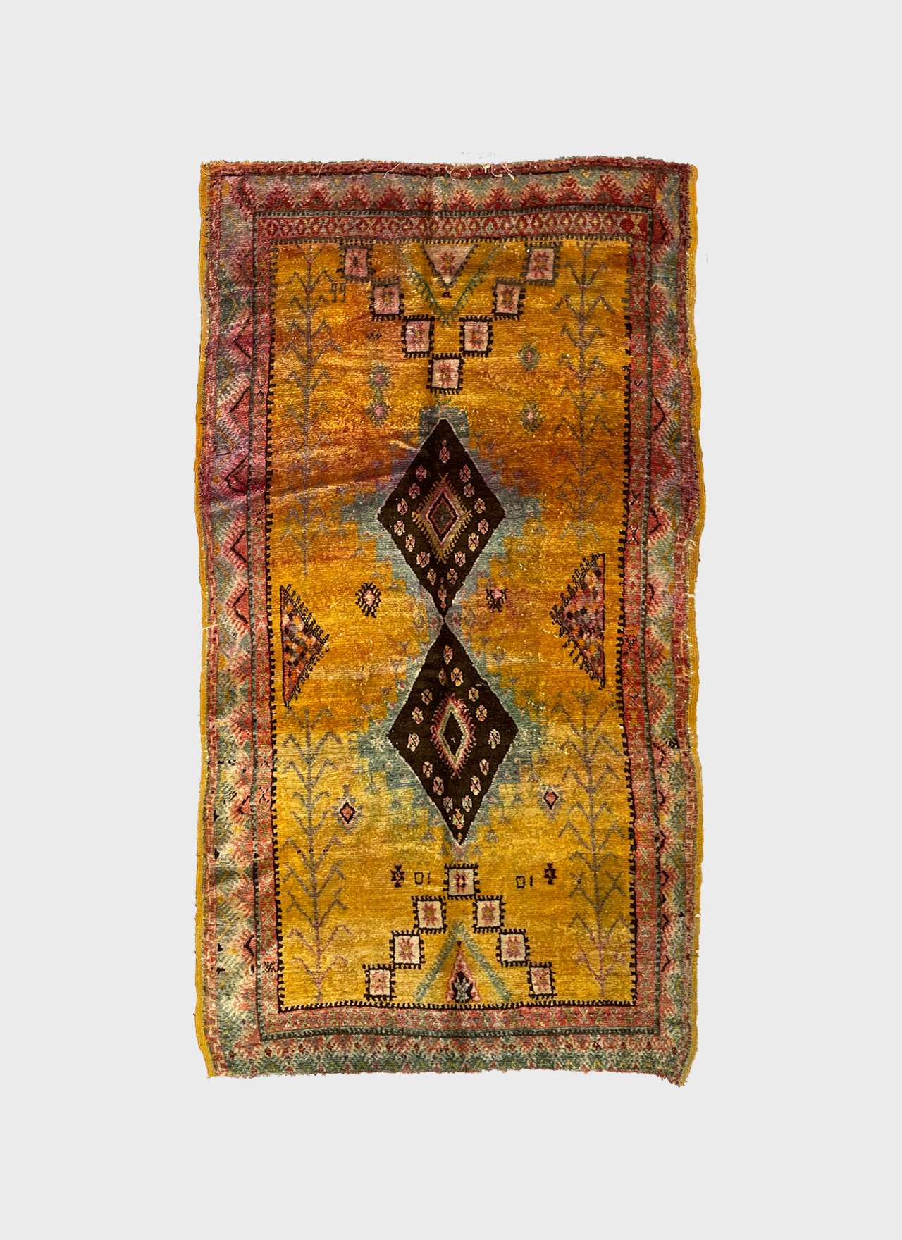 Moroccan Taznakte