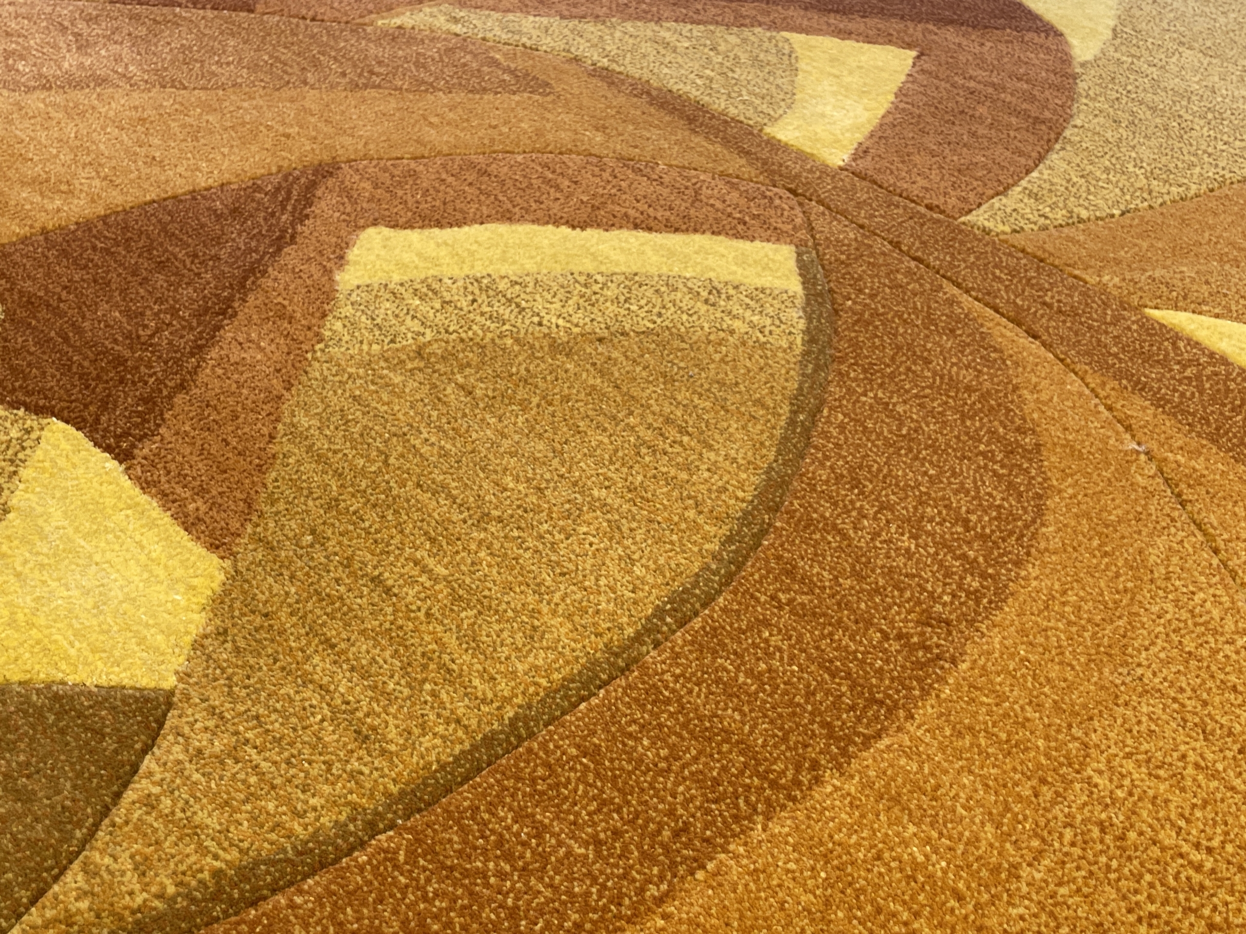 Hadassah Emmerich – Elora