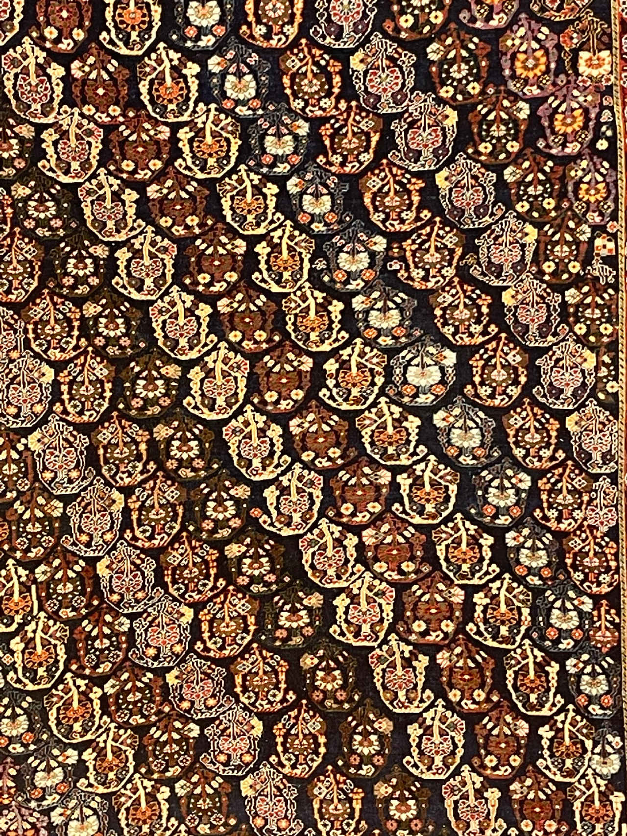 Kashkuli